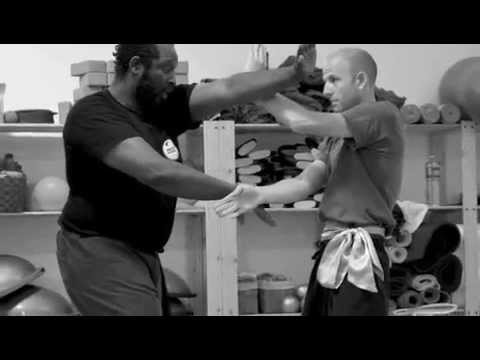 WING CHUN TOURNEFEUILLE 2010/2014