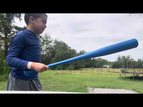 Blue Jays versus ducks