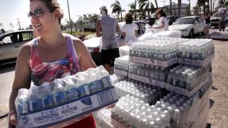 Survival water filter