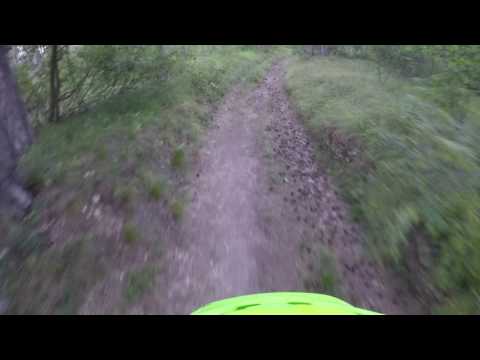 Testing BMC Speedfox SF02 XT with my traildog. ;)