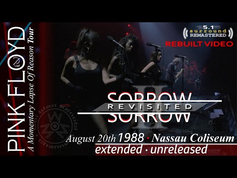 Pink Floyd - Sorrow🔹Revisited Edit🔹EXTENDED UNRELEASED VERSION 🔈 5.1 REMASTERED🔹DSOT - Nassau 1988
