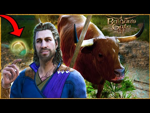 Get Shapeshifter's Boon without killing strange ox in act 1 // Baldur's Gate 3