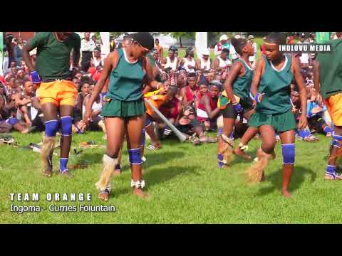 INGOMA KASHAMENI - CURRIES FOUNTAIN - TEAM ORANGE