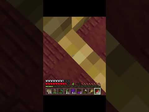 I old vid of me messing with my friend! XD ￼#minecraft #minecraftshorts #funny #trolling #xbox #pc