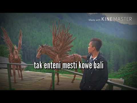 Tak Enteni Tekamu (lungset 2) lirik terbaru