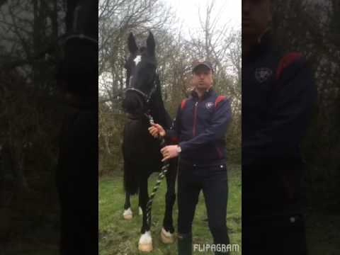 Blue Chip All Star Audition - David Morriss