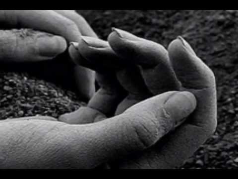 Emmylou Harris - Sweet Old World (with Lyrics)