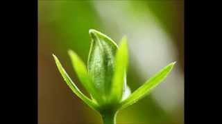 You Know I Care- ONE FOR ALL