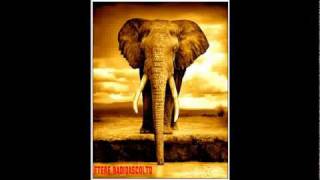 CANZONI RARE    MANU DIBANGO   ASHIKO GO 1974