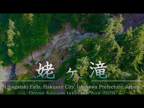 白山の秘境「姥ヶ滝」夏の深緑に輝く名瀑　A Hidden Gem of Hakusan | Ubadaki Falls in Summer – Aerial 4K
