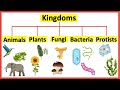 5 Kingdoms Animals Plants Fungi Bacteria Protists