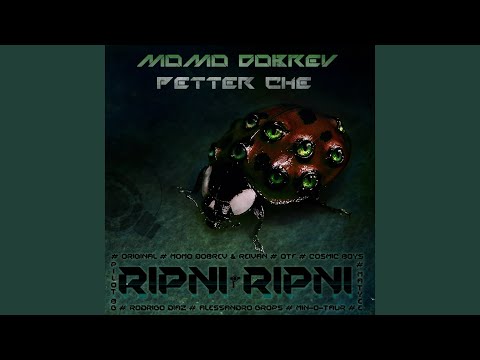 Ripni Ripni (Momo Dobrev & Reivan 2013 Remix)