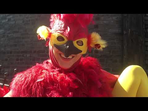 Aluehahmot Linnanmäellä: Kingin ritari, Hattarainen ja Saga, Taigan poikanen.