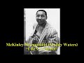 ■ Muddy Waters - "I Be's Troubled"
