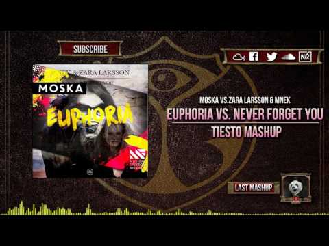 Euphoria vs Never Forget You (Tiësto Mashup)(Tomorrowland 2016)