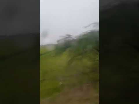 Rain Shot #beautiful  #nature @Suja Pavithran #shorts