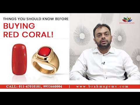Things to know before buying Red Coral | Brahma Gems