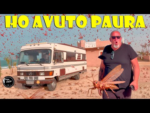 Mauritania: invasione LOCUSTE nella capitale NOUAKCHOTT