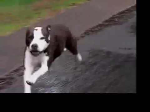 Student Video: Revenge by Ben Ryken