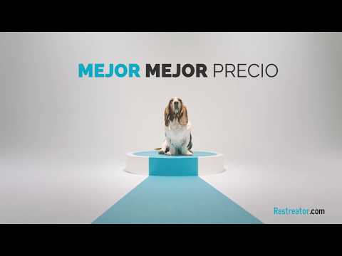 download lagu mp3 mp4 Rastreator, download lagu Rastreator gratis, unduh video klip Rastreator