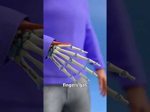Why Your Knuckles Crack 😨 #biology #science #shorts