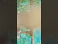 Kumki Movie Love Song What S App Status