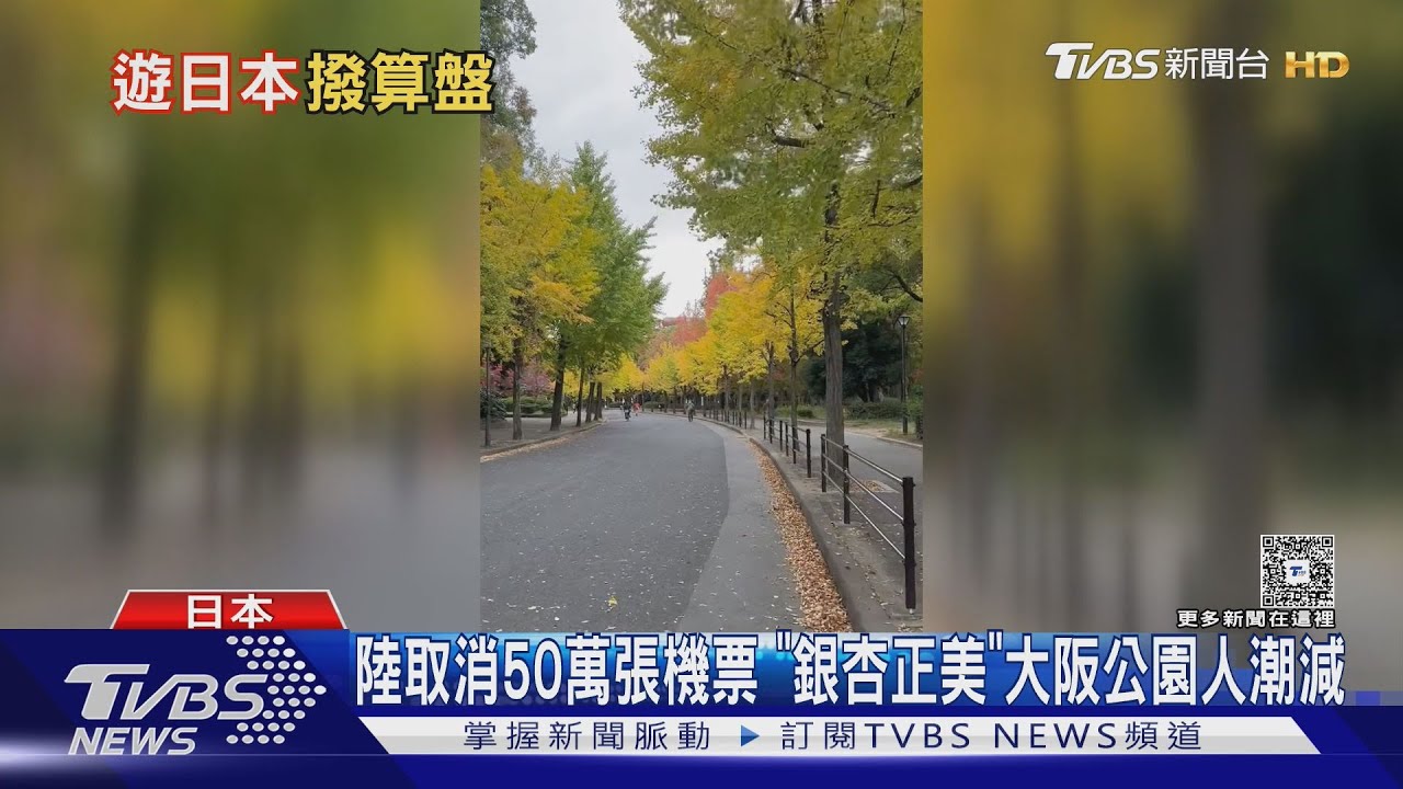 中國禁赴日旅遊！台人驚見「銀杏季人潮銳減」　現在去正是時候