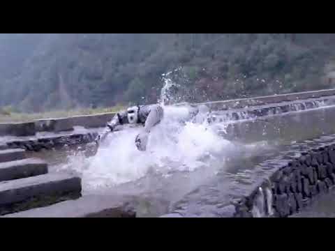 La movilidad del Unitree B2-W en el, probablemente, vídeo de robots más alucinante del año