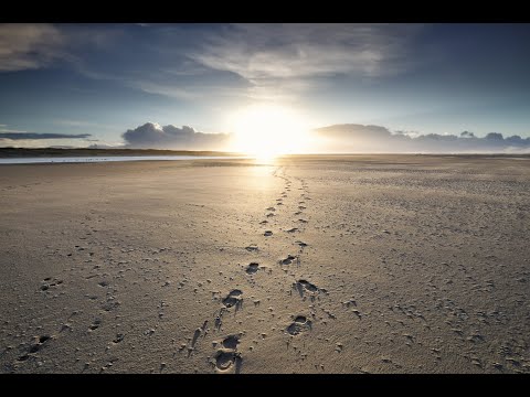 Genesis 32-36 Torah portion Vayishlach