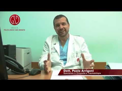 Congiunta con losso della gamba Backaches polvere nimesil