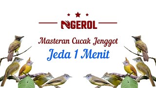 Download lagu Masteran Cucak Jenggot Jeda 1 Menit mp3