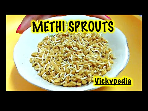 Methi Sprouts / Fenugreek Sprouts / Quick Weight Loss with Sprouts / Health Benefits of Methi