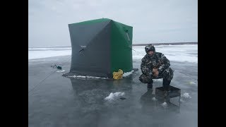 Зимняя рыбалка на маныче сегодня 2019 года