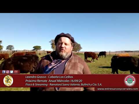 Leandro Grasso - Cabaña Los Ceibos - Remate Anual Miércoles 16 de Septiembre