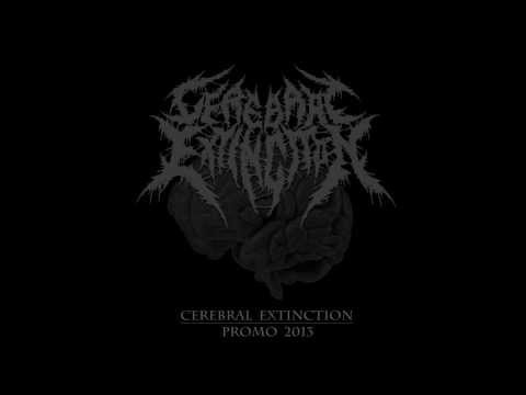 Cerebral Extinction - Echoes Aenima