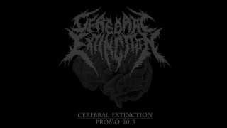 Cerebral Extinction - Echoes Aenima