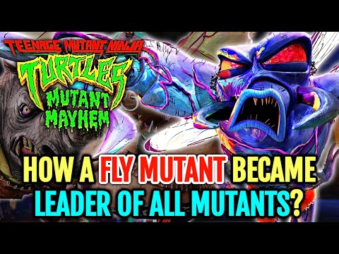 Superfly Anatomy Explored - How A Fly Mutant Became The Leader Of The Mutants And Crushed TMNT!