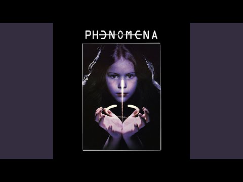 Whos Watching You - Phenomena