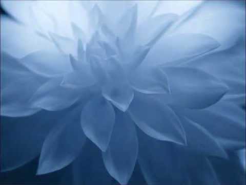 Um De Nós - Prisma