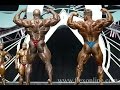 Mr Olympia 2003 Revisited