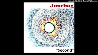 Junebug - Neurosis #2 (Third Album). Song about Insanity, Losing Your Mind, Stranglers Style.