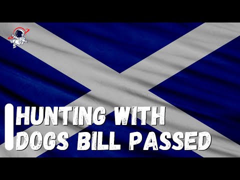 Hunting with Dogs Bill passed and more Scottish politics | Outside Views