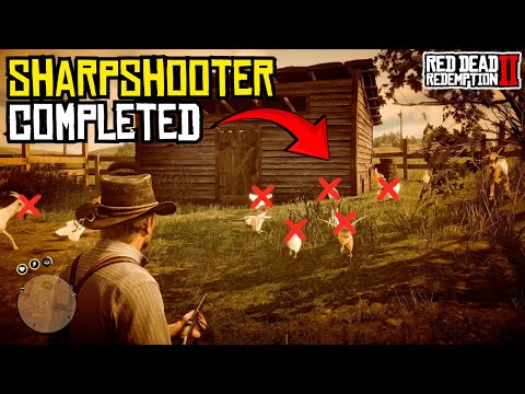 RDR2 Sharpshooter Challenges Made Easy – Tips, Tricks & Dead Eye Fun!
