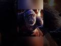 Godzilla X Kong The New Empire Full Movie In Hindi Dubbed 2024 Godzilla Vs Kong Kong Vs Monster