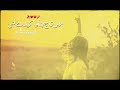 Mera Pyaar Bewafa Aey | Slowed & Reverb| Naseebo Lal | New Punjabi Sad Song 2024 |