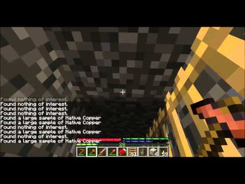 Tweety plays Terrafirmacraft ep 21 - Quest for chicken