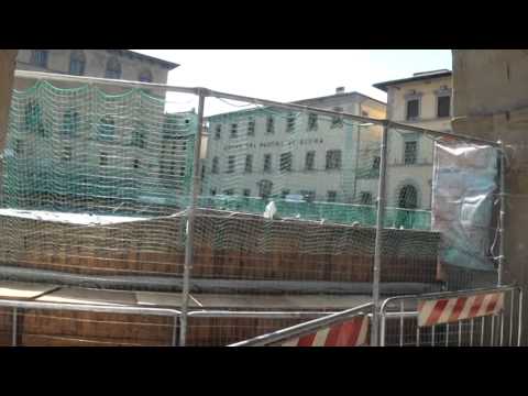 GIOSTRA DELL' ORSO; PISTA OK