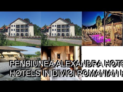 Pensiunea Alexandra hotel review  Hotels in Divici  Romanian Hotels
