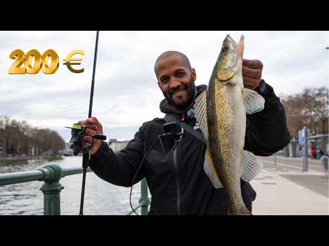 Fox Rage TV France