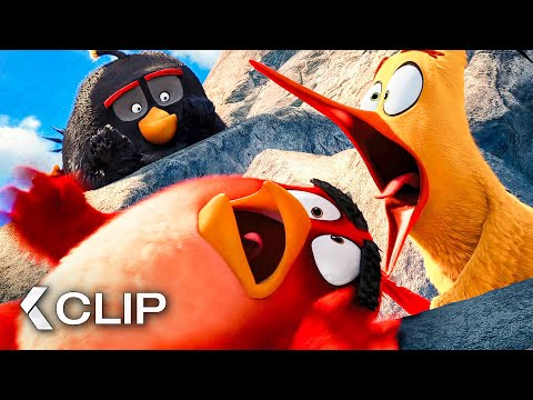 Das erste Treffen mit dem mächtigen Adler - ANGRY BIRDS: Der Film Clip